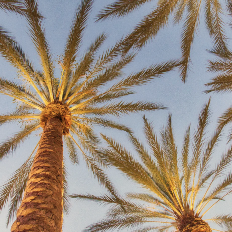 Best Neighborhoods in Boynton Beach: A Local Realtor’s Guide